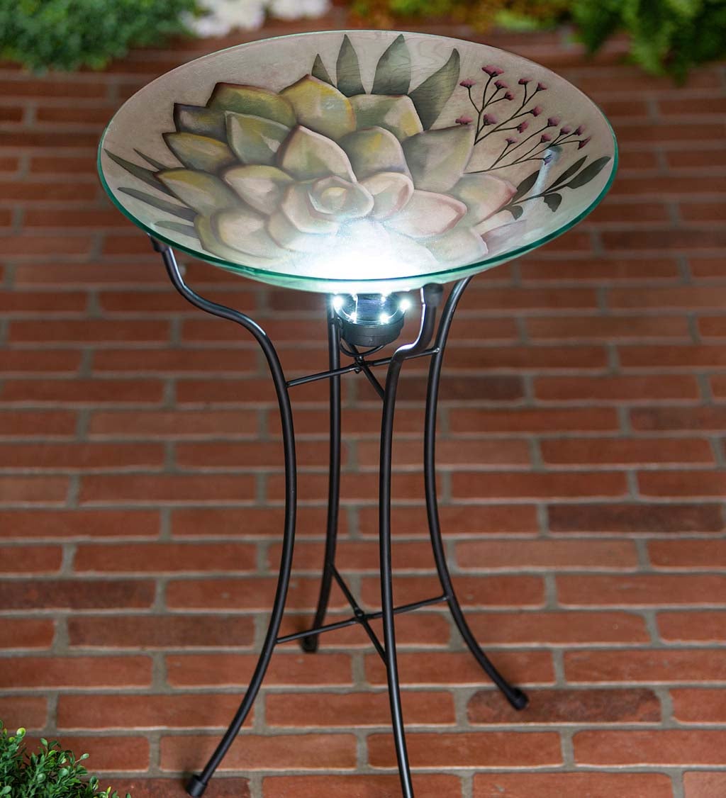 Glass Succulent Solar Birdbath Stand