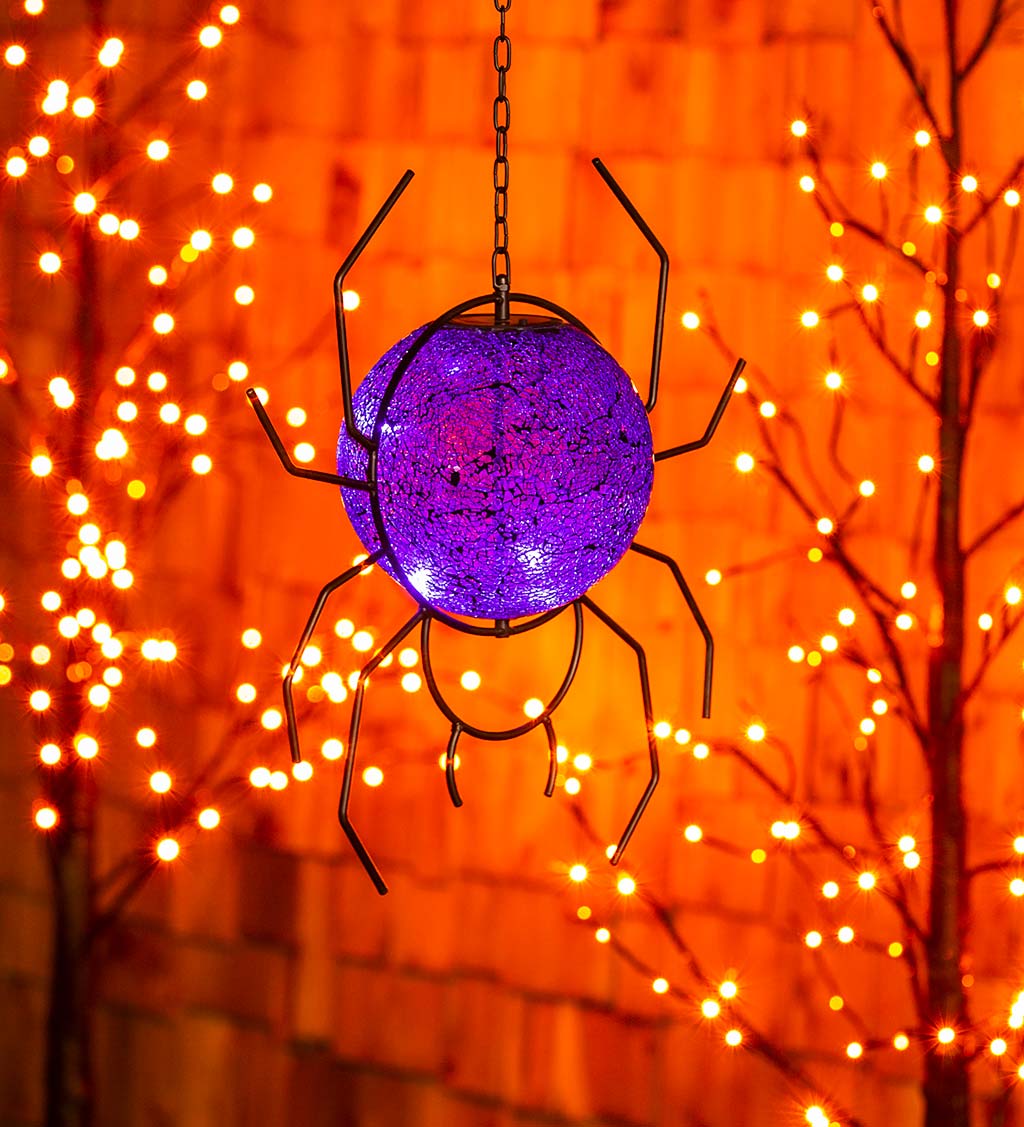 Solar Hanging Spider Gazing Ball