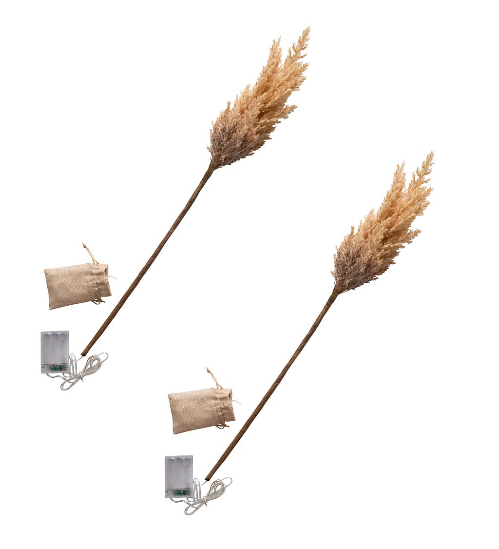 Lighted Faux Pampas Grass Branches, Set of 2 swatch image