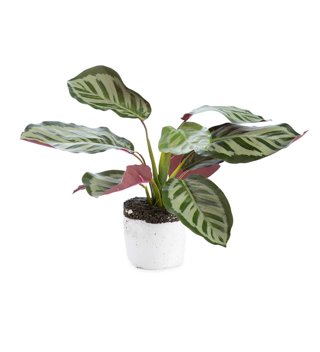 Faux Real Calathea Artificial Potted Plant