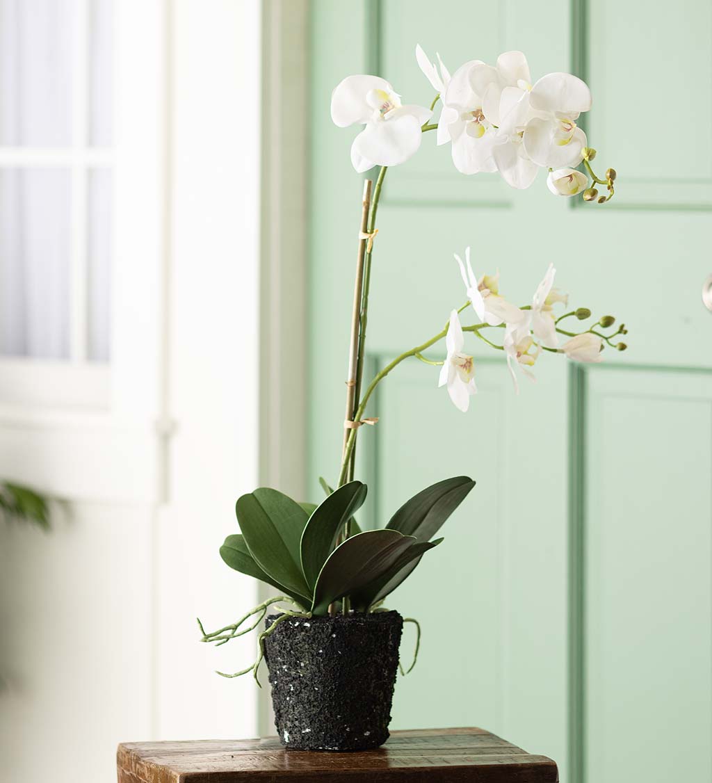Faux Real White Orchid Artificial Plant