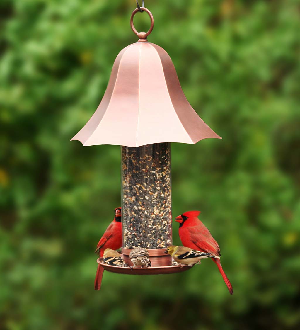 Copper-Colored Metal Bell Bird Feeder with Clear Seed Tube