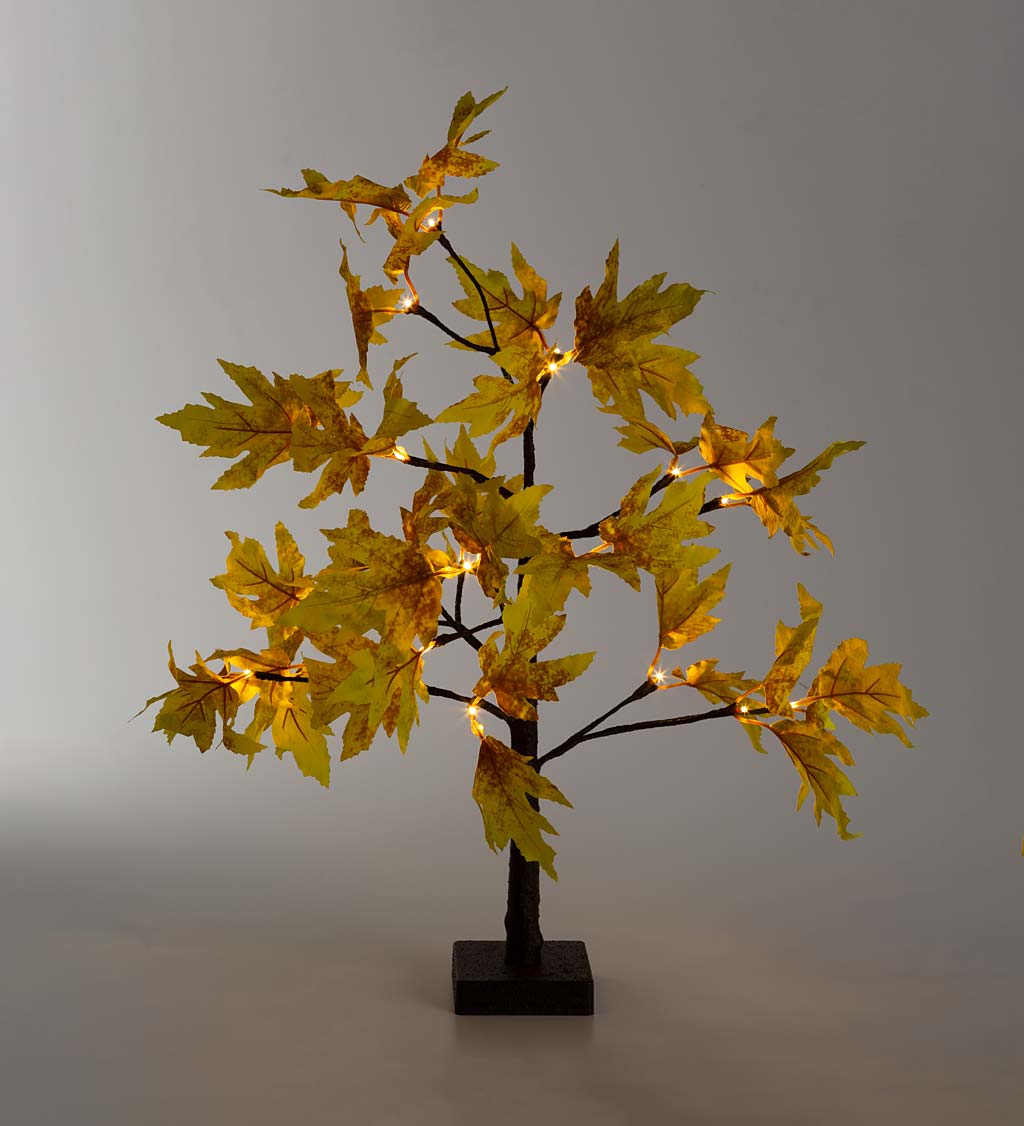 Indoor/Outdoor Lighted Tabletop Golden Sugar Maple Tree with 20 Lights
