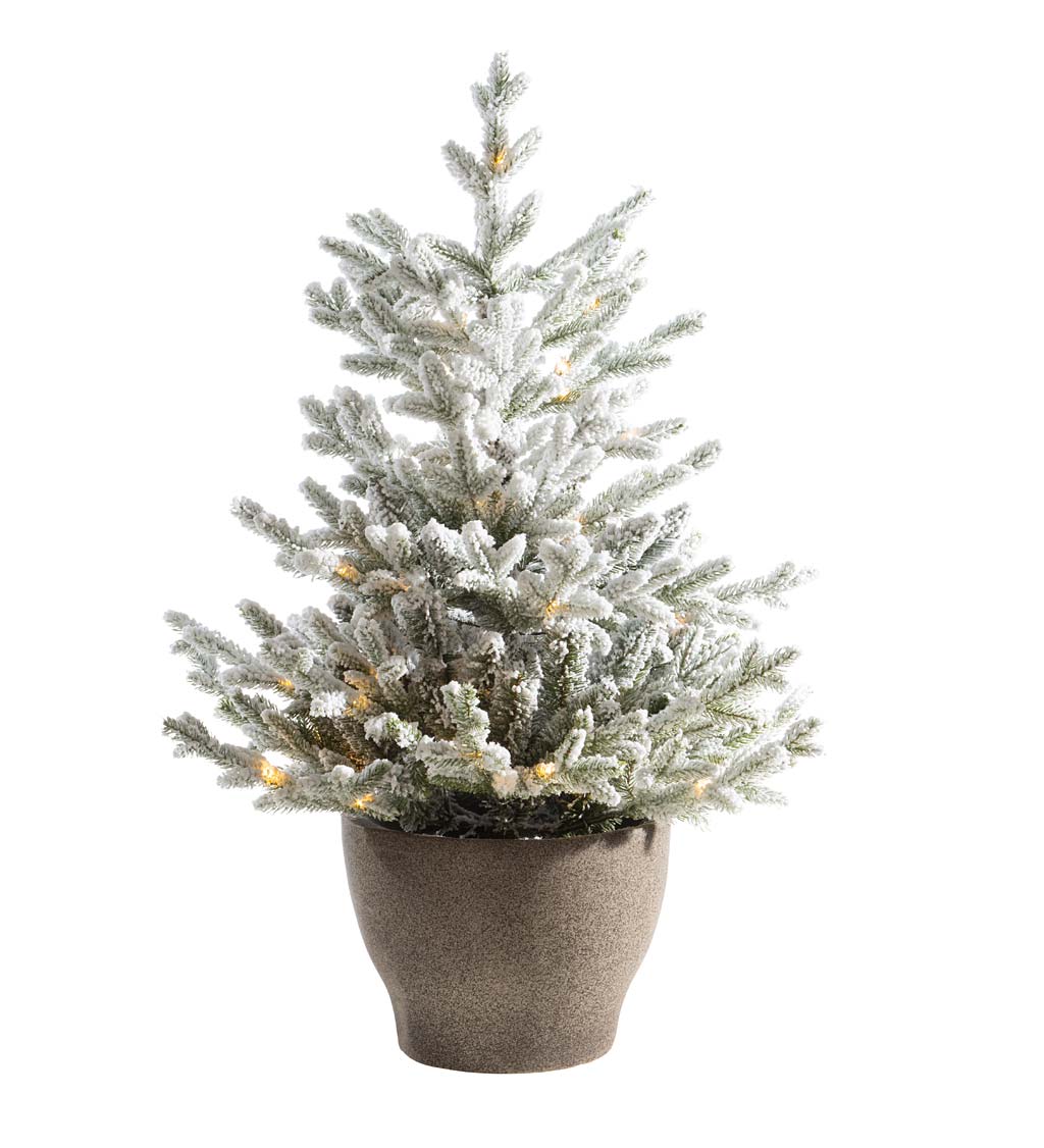 Lighted Potted Snow-Dusted Norway Spruce