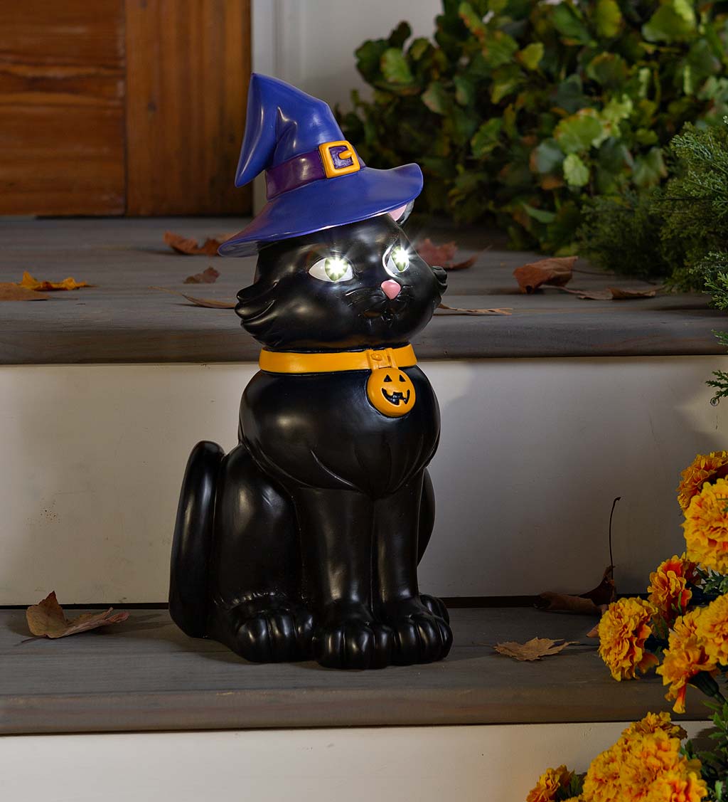 Indoor/Outdoor Lighted Black Cat Shorty Halloween Statue