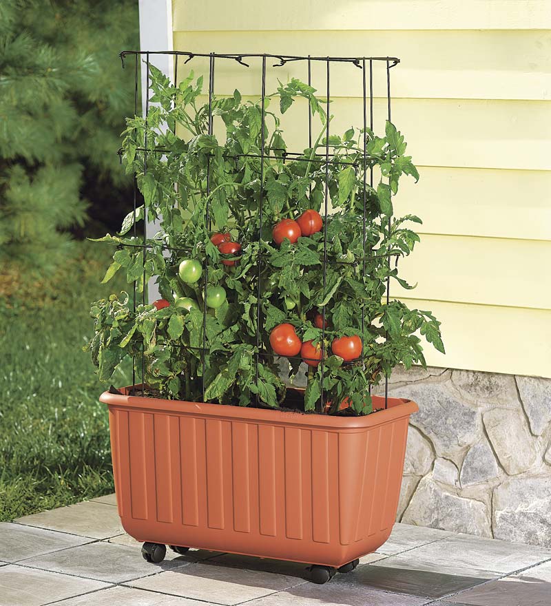 Rolling Self-Watering Tomato Planter and Rust-Resistant Tower