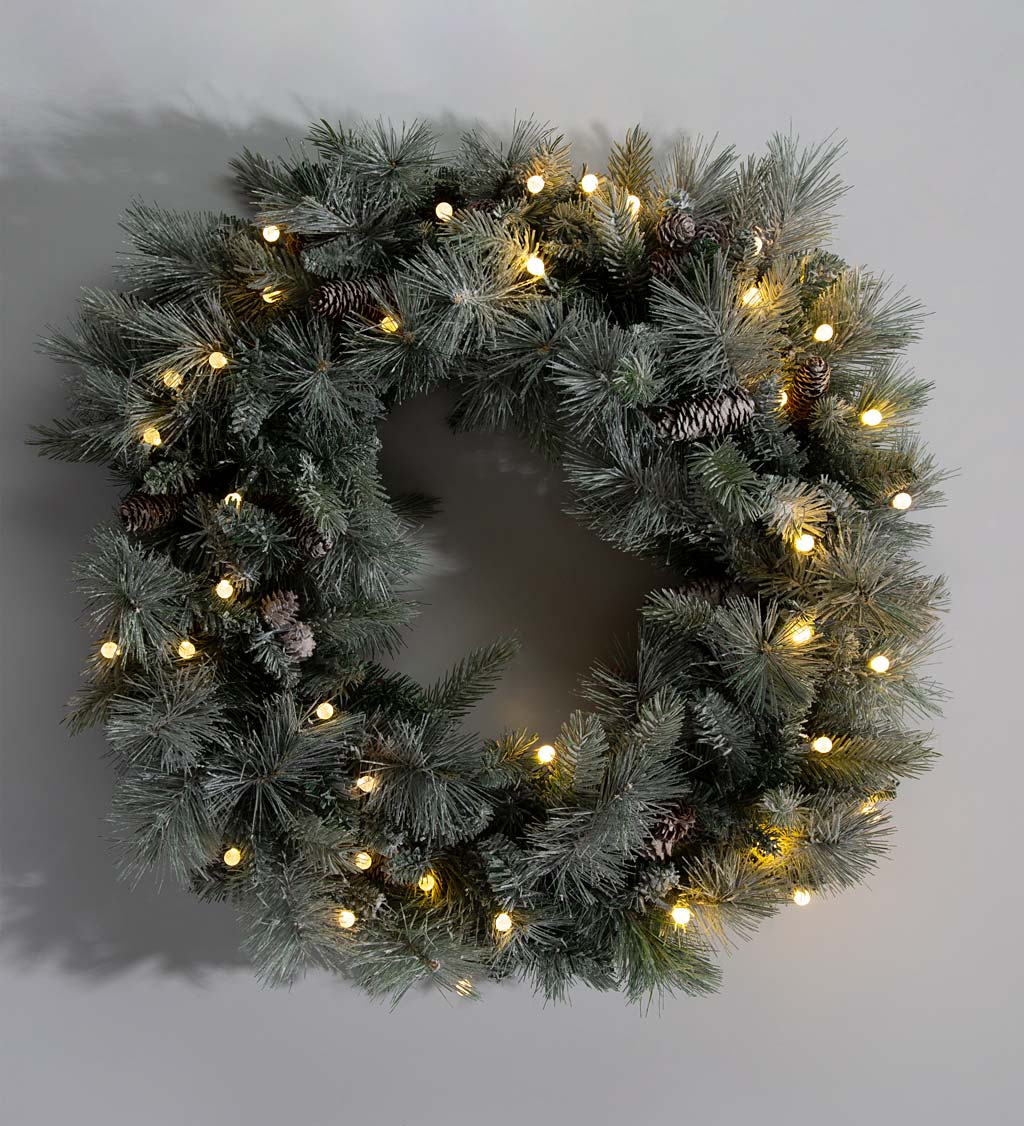Winter Frost Lighted Holiday Wreath