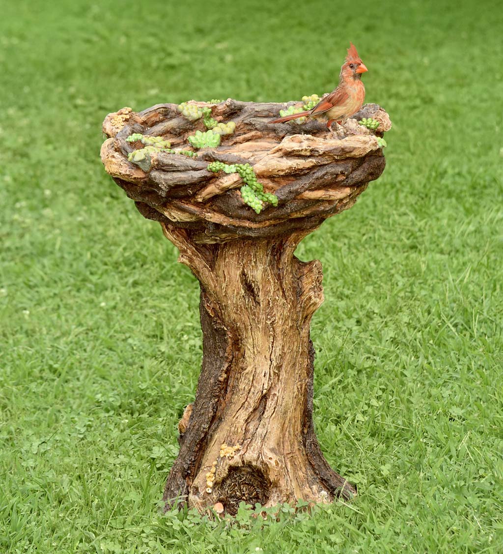 Succulent Bird Nest Tree Stump Birdbath