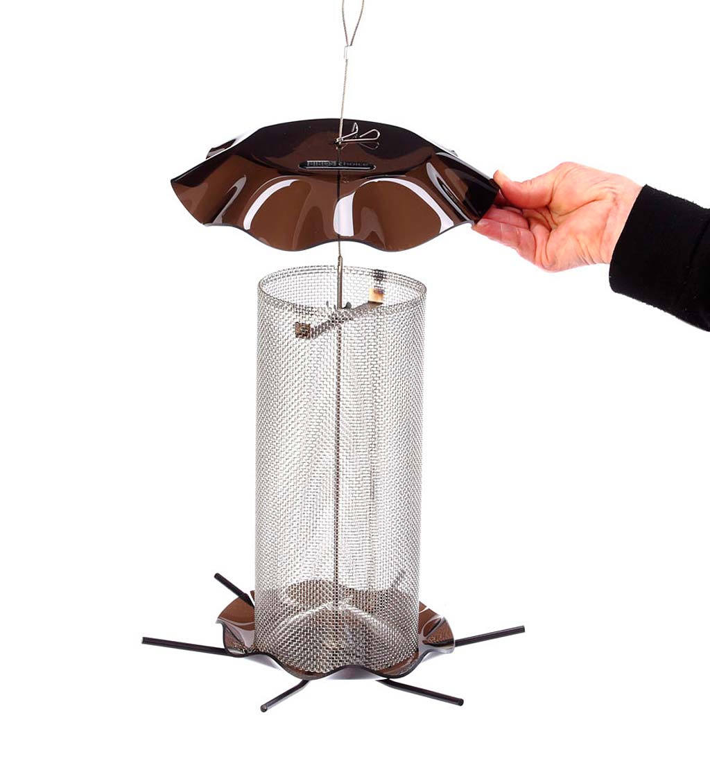 Acrylic and Stainless Steel Hanging Nyjer Bird Feeder