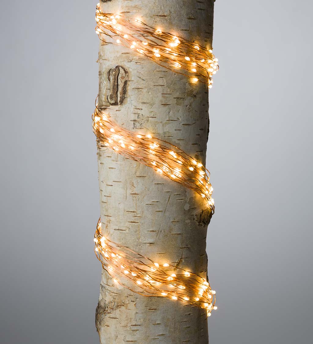 Electric Bunch Lights, 320 Warm White LEDs on Bendable Wire, 3'2"L swatch image