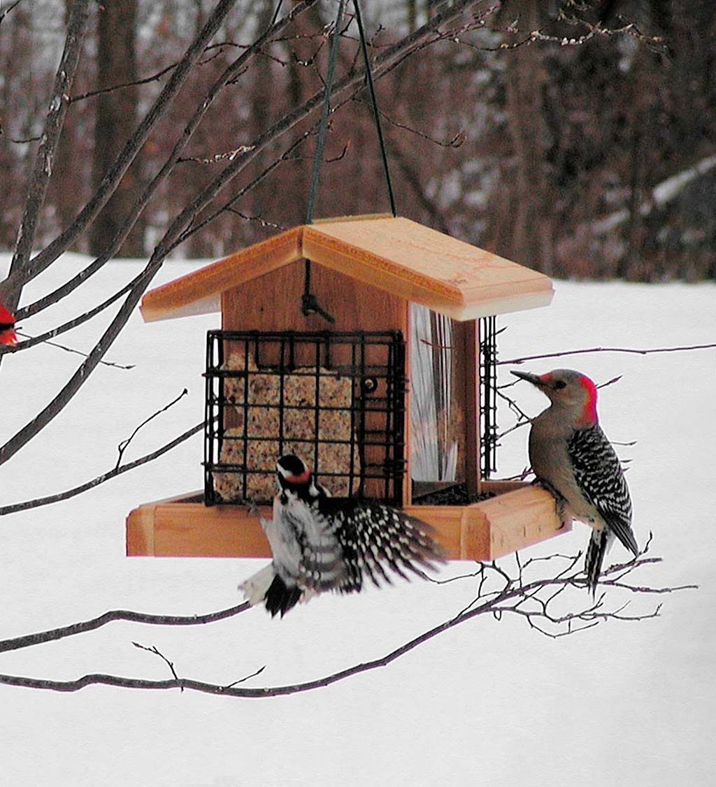 Natural Cedar Hopper-Style Hanging Bird Feeder