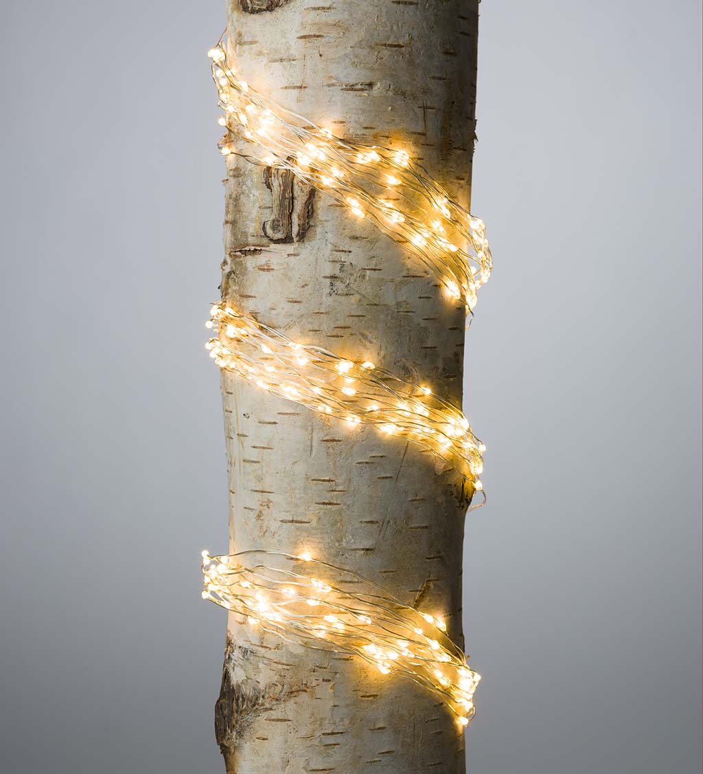 Electric Bunch Lights, 320 Warm White LEDs on Bendable Wire, 3'2"L swatch image