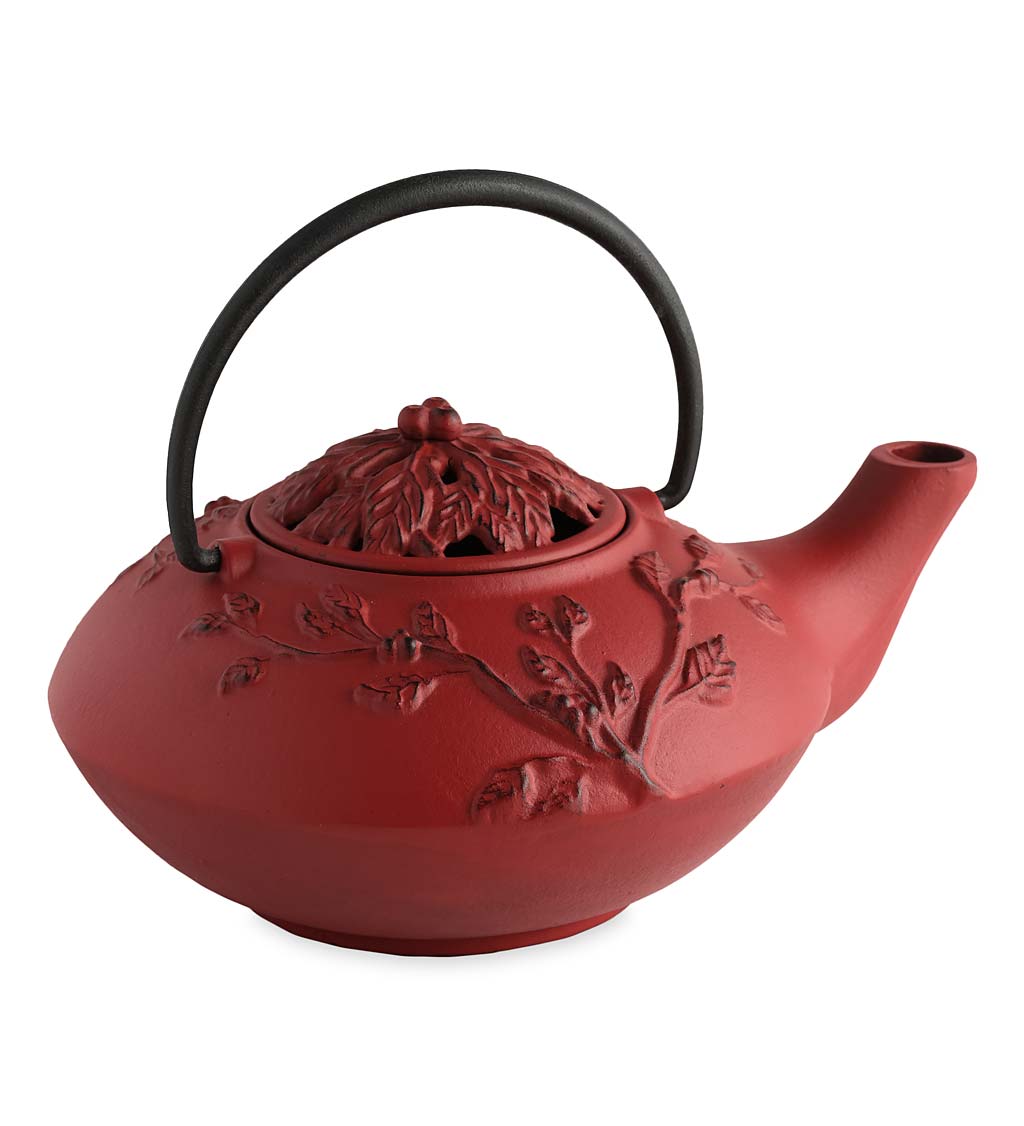 Cast Iron Wood Stove Red Kettle Steamer with Cardinal Design