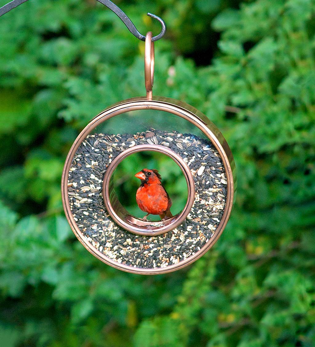 Antiqued Copper Hanging Fly-Thru Round Bird Feeder - Copper