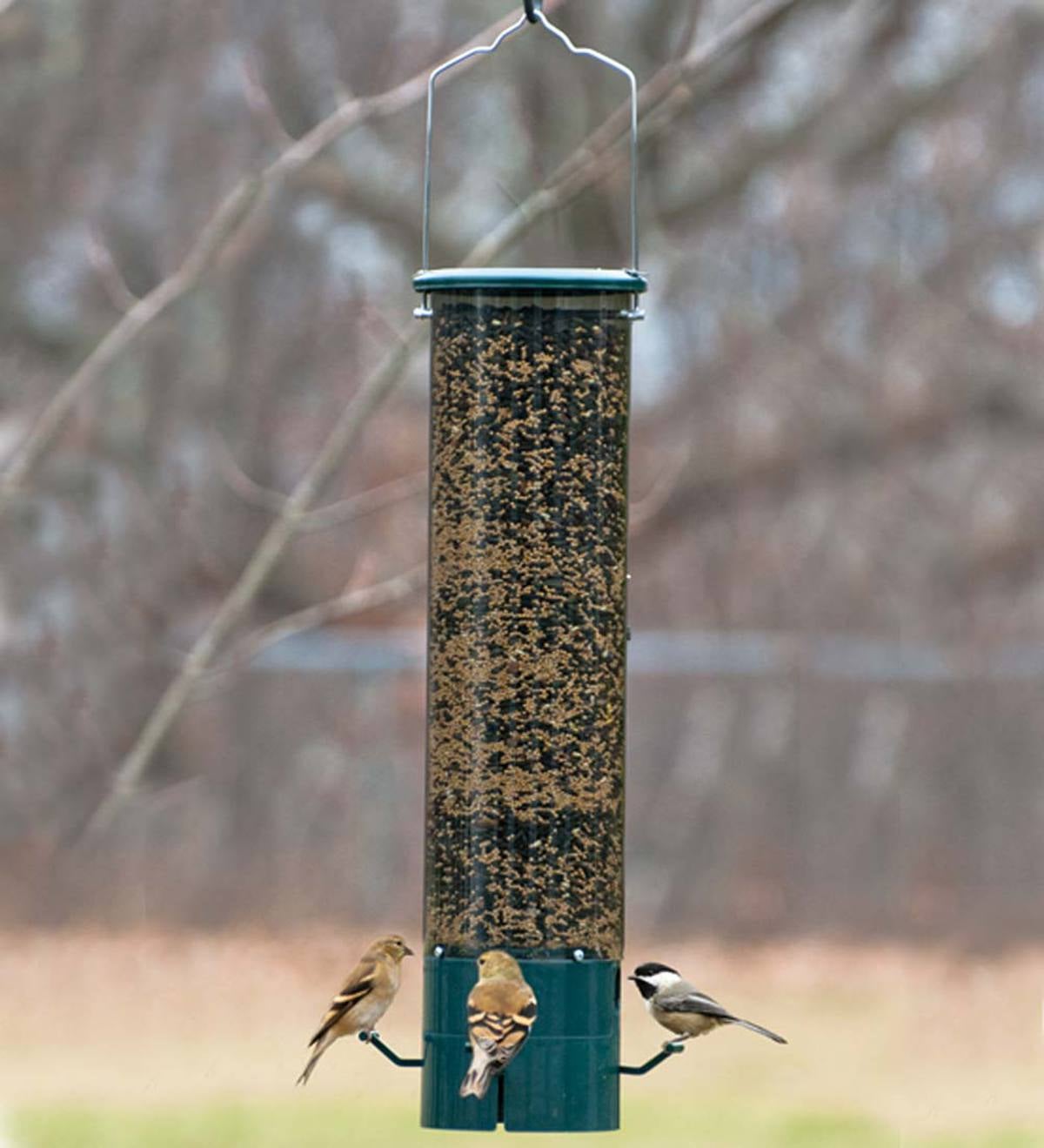 The Magnet Squirrel-Proof Feeder