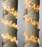 Electric Bunch Lights, 640 Warm White LEDs on Bendable Wire, 6'2"L