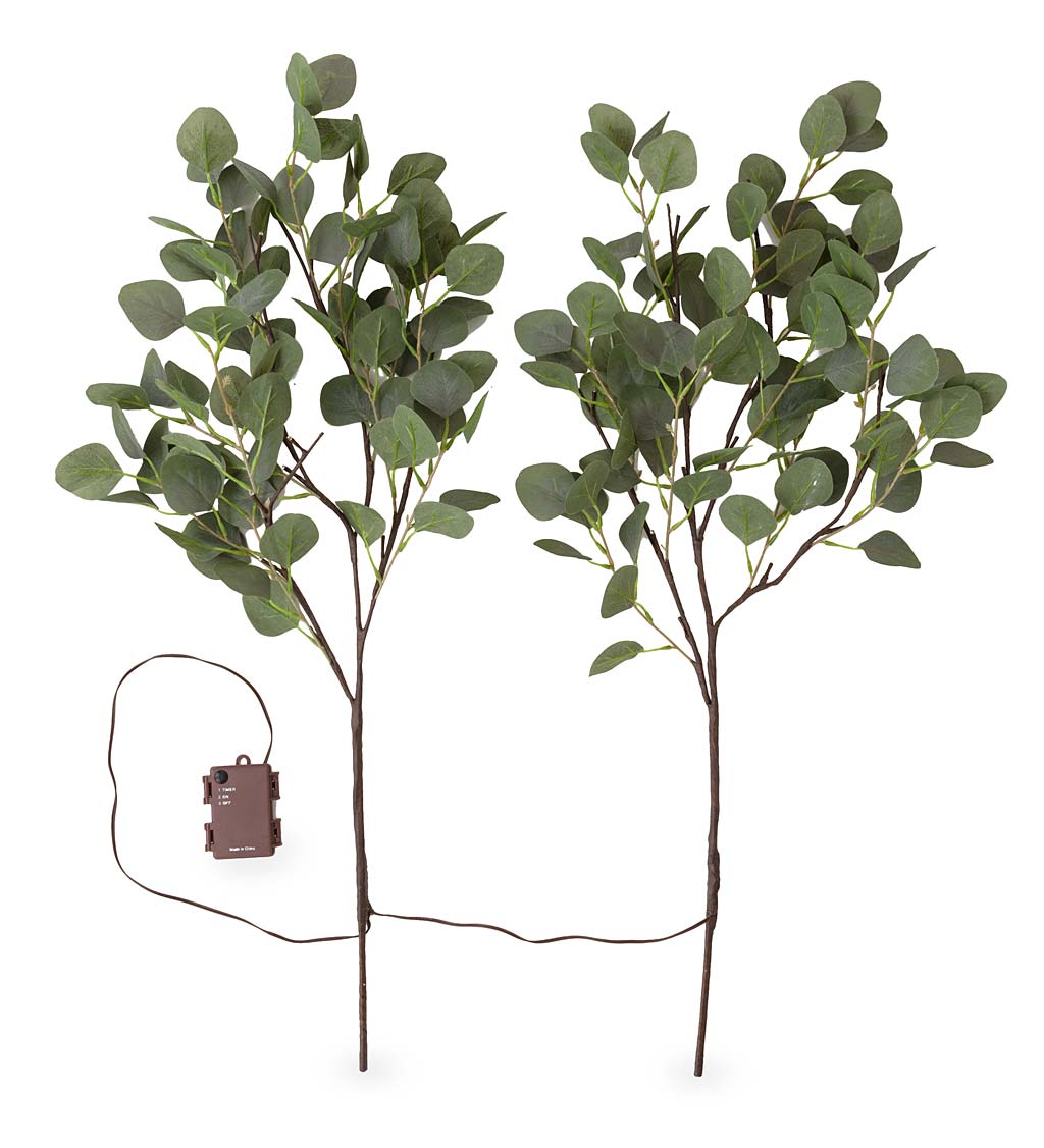 Indoor/Outdoor Battery-Operated Lighted Eucalyptus Branches, Set of 2