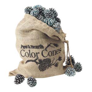 Color-Changing Fireplace Color Cones, 2 lb. Bag