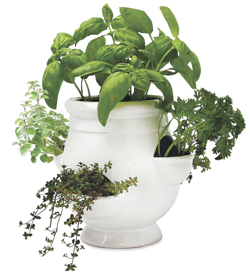 Galvanized Herb Pots Set - Windowsill Planter Kit