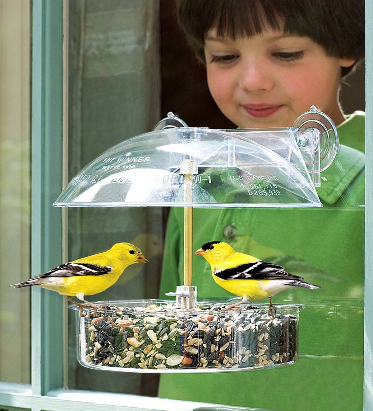 Window-Mount Bird Feeder