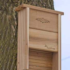 Audubon Bat House Shelter