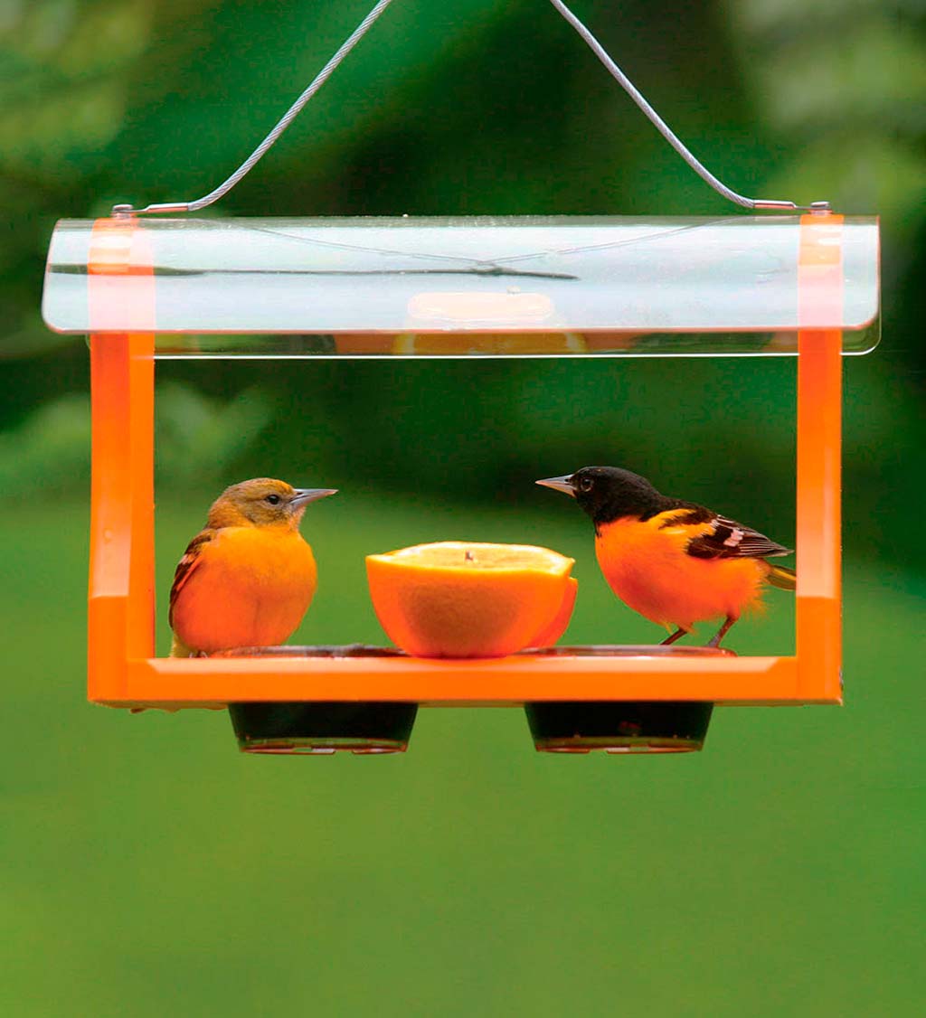 Recycled Plastic Poly-Lumber Oriole Bird Feeder