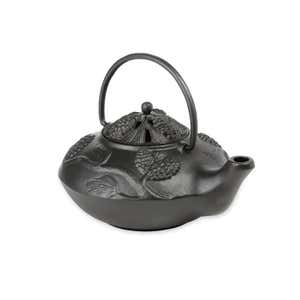 Cast Iron Wood Stove Kettle Steamer with Pine Cone Design - Black