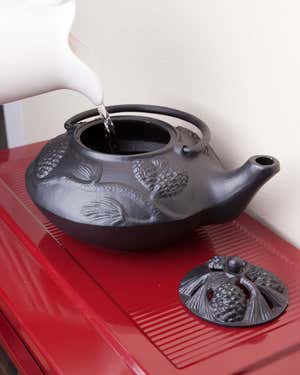Cast Iron Wood Stove Kettle Steamer with Pine Cone Design