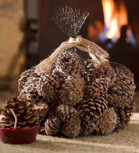 Fireplace Color-Changing Color Cones in Red Metal Bucket