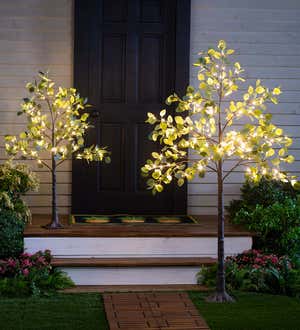 Indoor/Outdoor Electric Lighted Eucalyptus Trees
