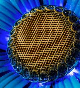 Secret Solar Flower Metal Garden Stake