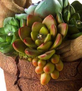 Solar Succulent Hedgehogs Flower Pot Garden Statue