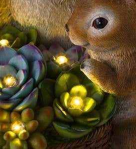 Solar Succulent Rabbits Flower Pot Garden Statue