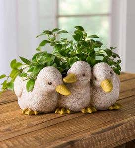 Duckling Triplets Planter