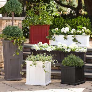 Lexington Self-Watering Window Boxes with Hanging Brackets