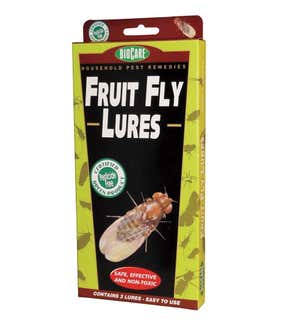 Fruit Fly Lure, 3-pack