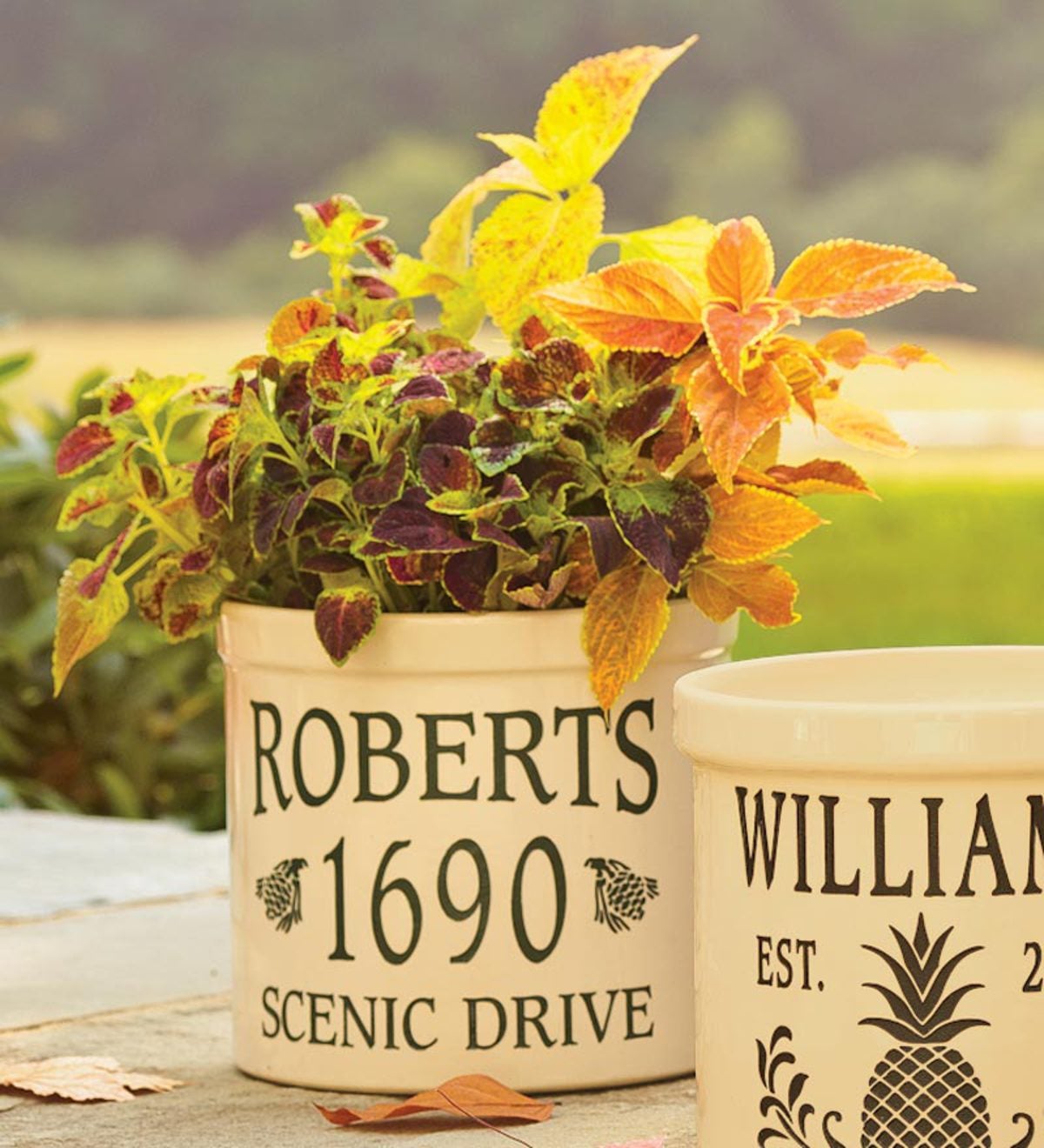 Pine Cone-Styled Personalized Crock