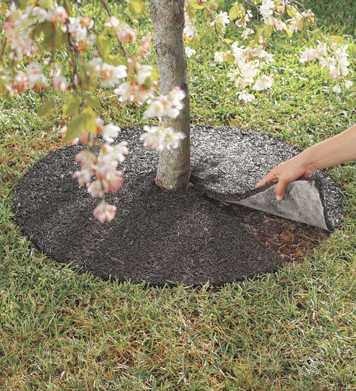 Perma Mulch Recycled Rubber Tree Ring