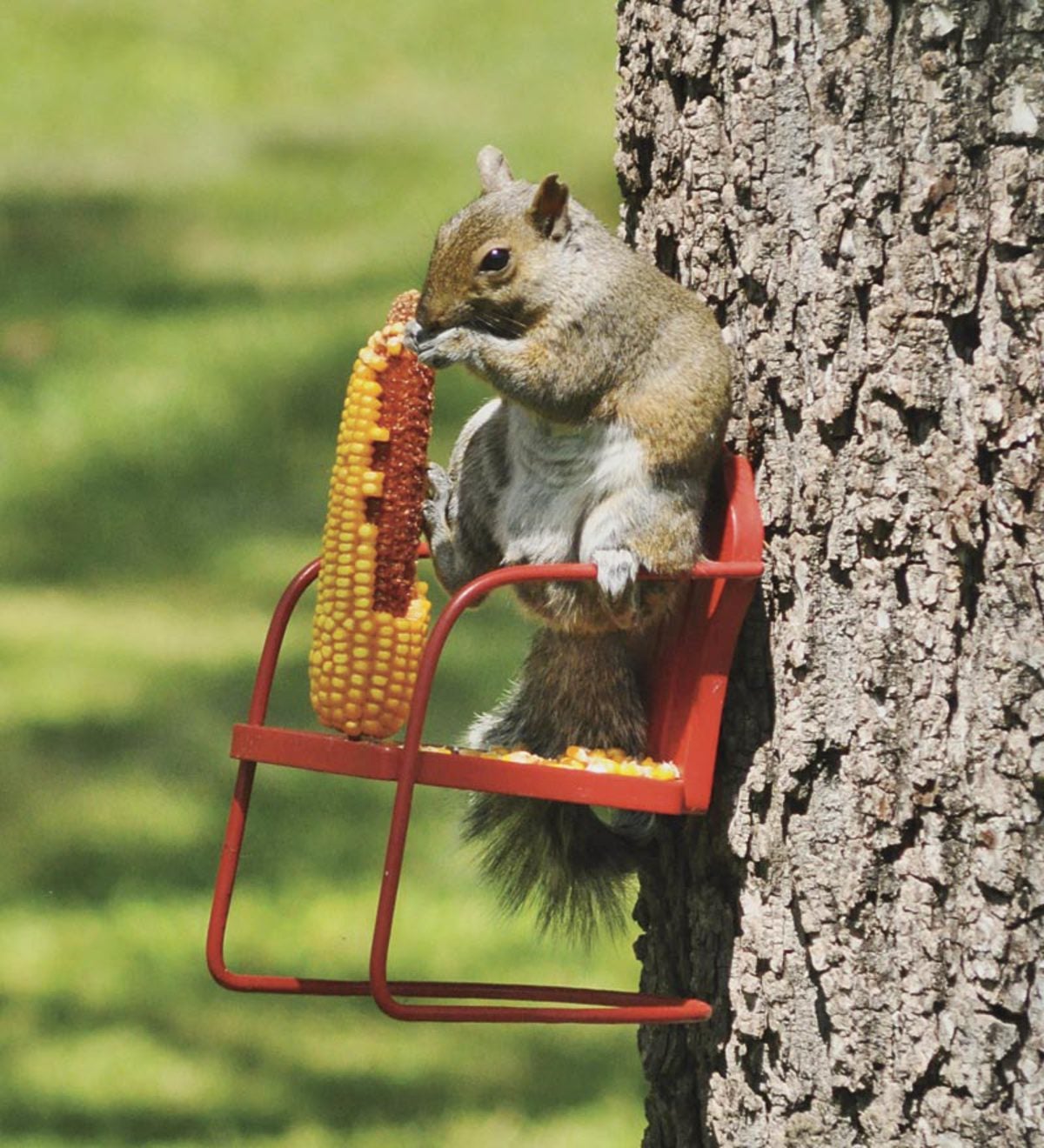 Red Retro Lawn Chair Squirrel Feeder
