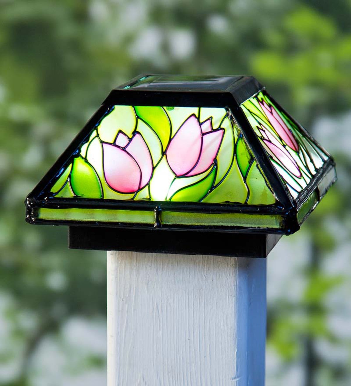 Tulip Glass Solar Post Cap Light