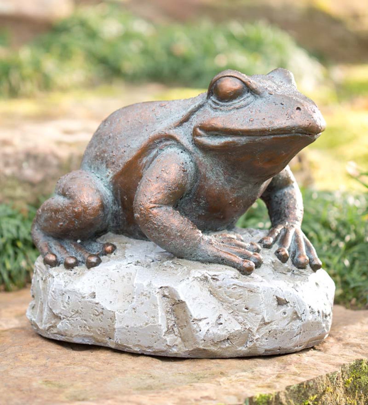 Large Frog On Stone Statue