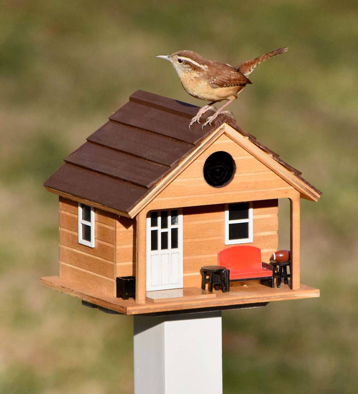 Man Cave Birdhouse