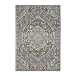 Indoor/Outdoor Riverbend Vintage Polypropylene Rug