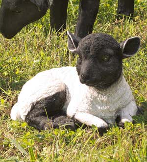 Suffolk Sheep Resin Garden Statue