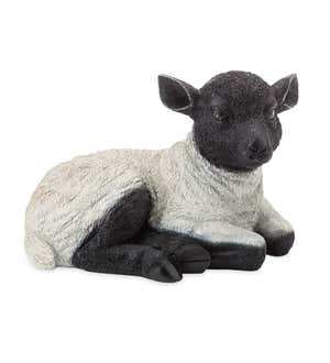 Resting Lamb Suffolk Sheep Resin Garden Statue