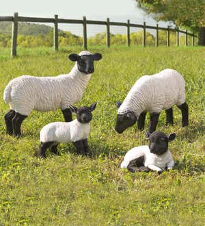 Standing Suffolk Sheep Resin Garden Statue