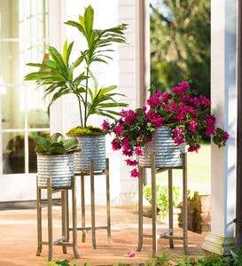 Galvanized Metal Bucket Planters on Wood Stands, Set of 3