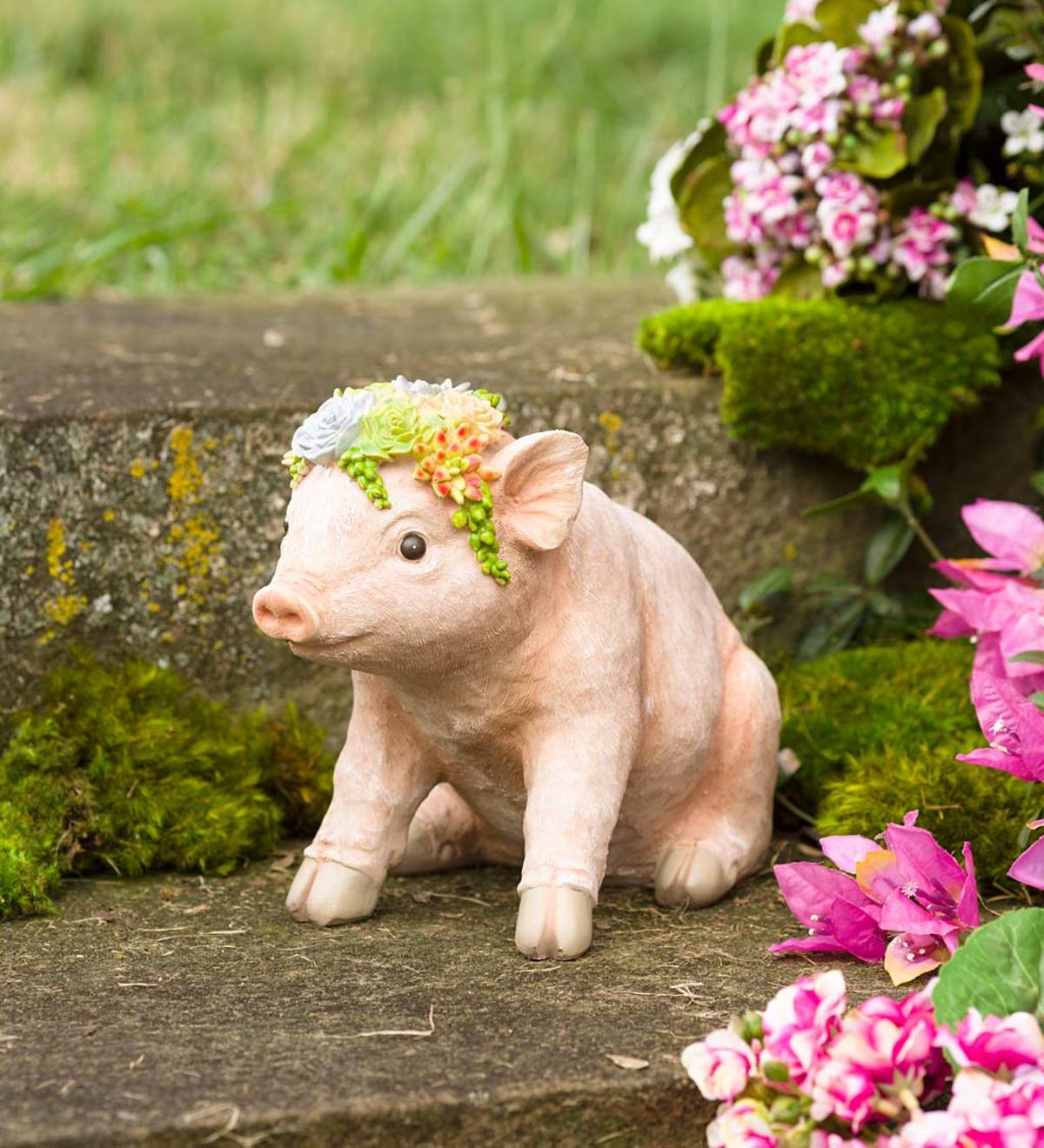 Pig with Succulent Crown Resin Garden Statue