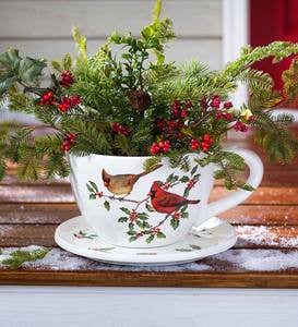 Indoor/Outdoor Cardinal Teacup Planter with Saucer