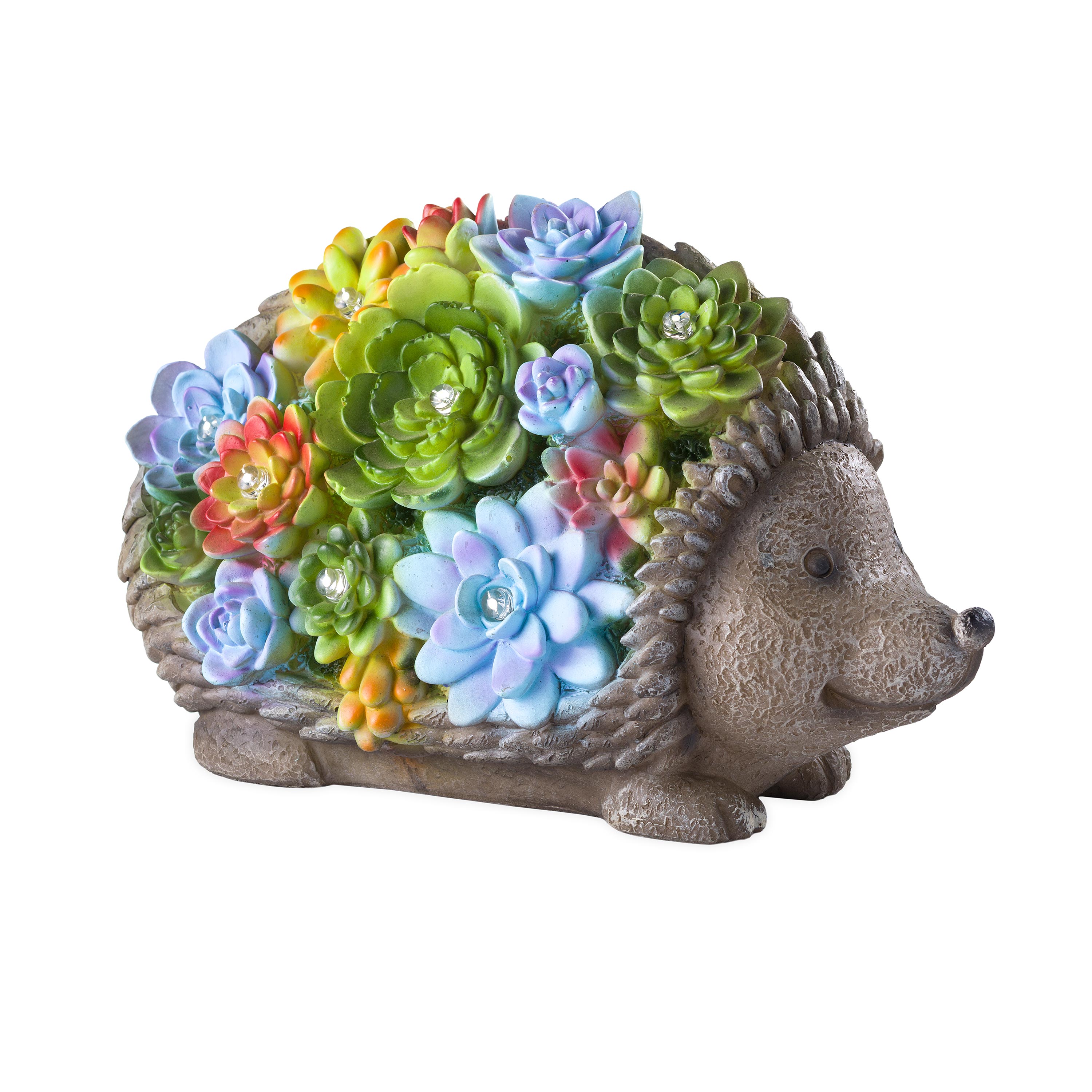 Hedgehog